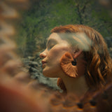 Aretes Penacho Revisitados