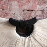 Penacho de Pared