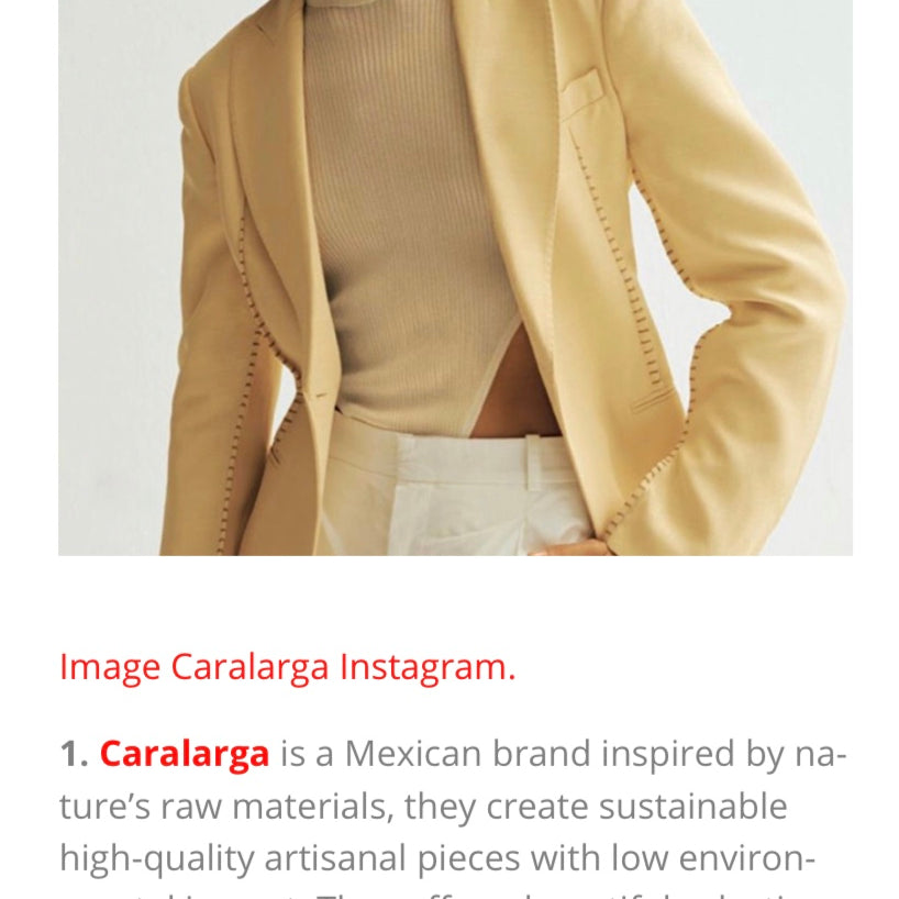 MESS Magazine | Coverage | Caralarga - Caralarga México