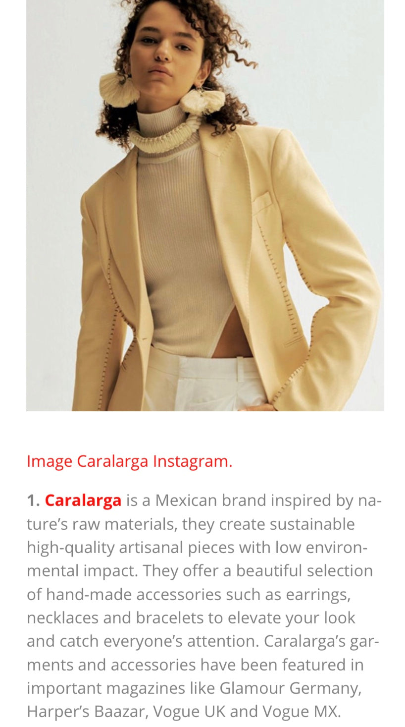 MESS Magazine | Coverage | Caralarga - Caralarga México