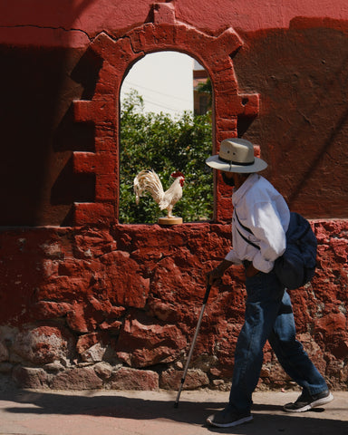 El Gallo