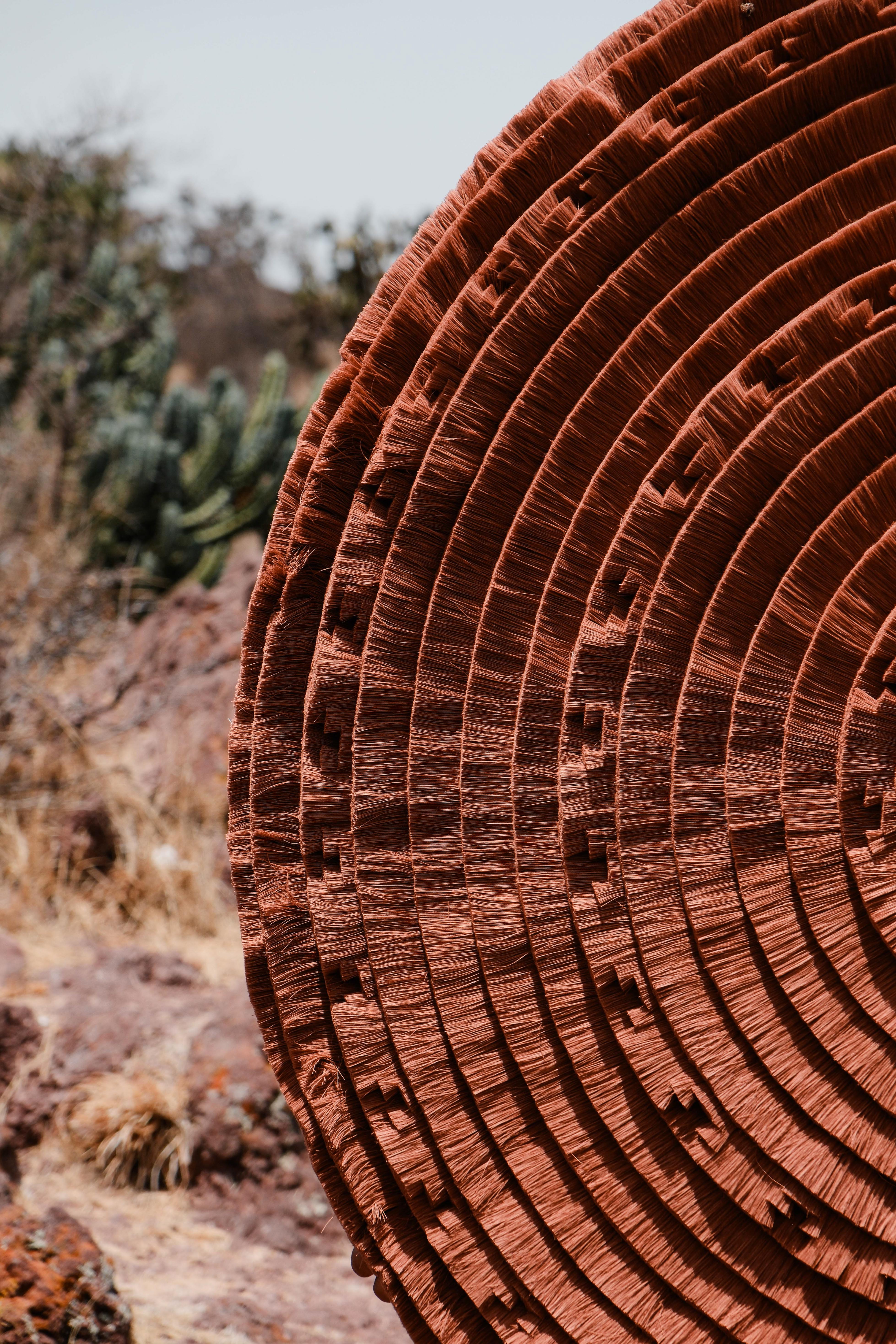 Imagen de diapositiva