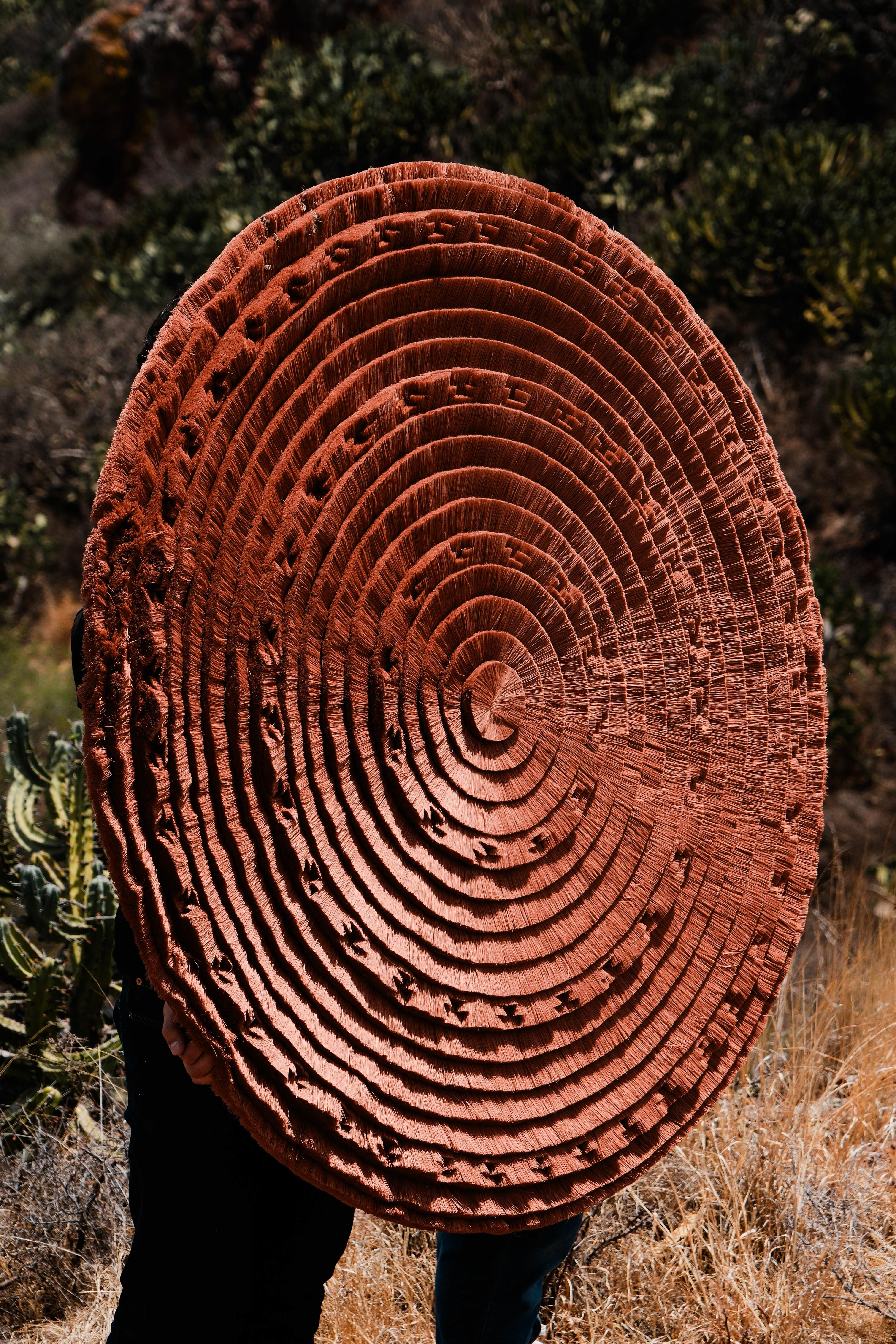 Imagen de diapositiva