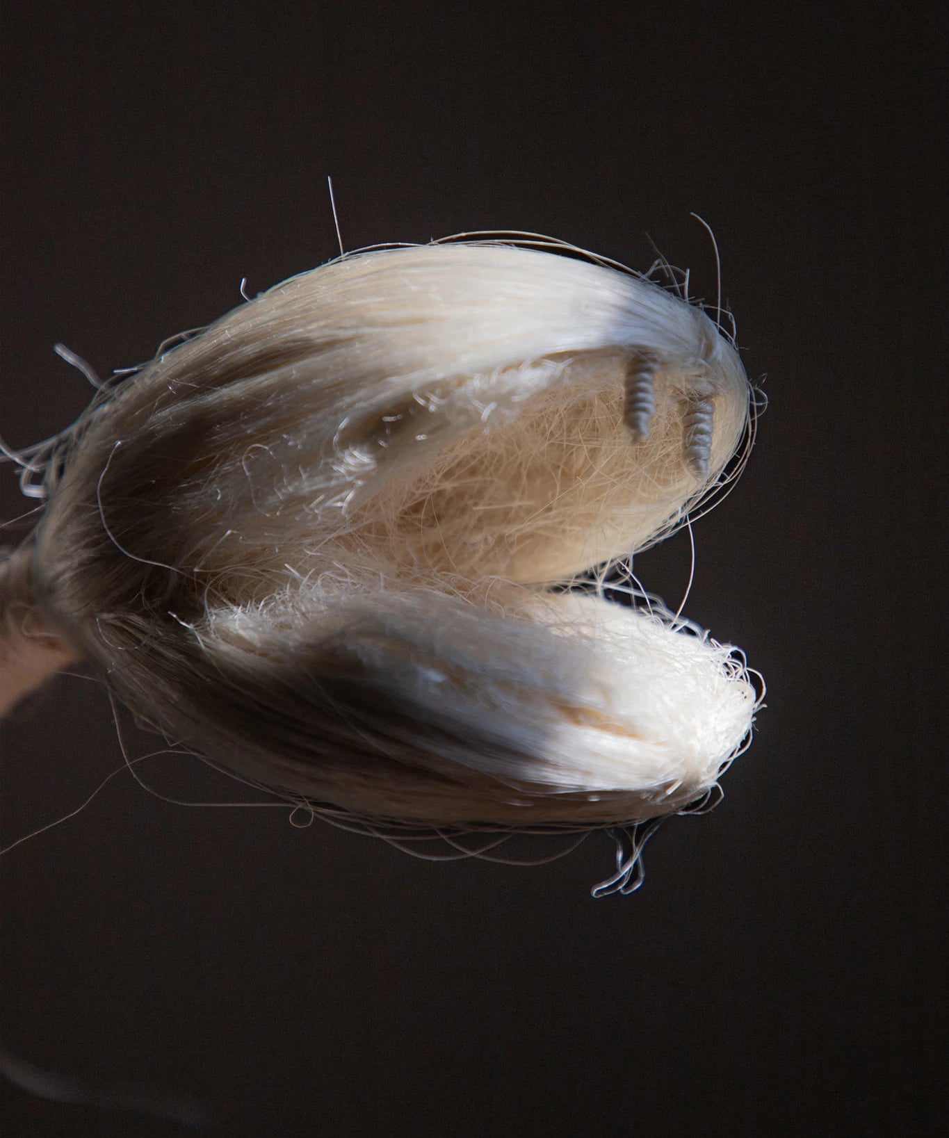 detail of a snake's head as a prehispanic symbol