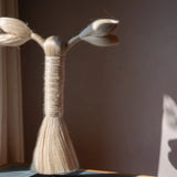 fibra de sansevieria cruda con estilo único para colección de 2 regiones mexicanas