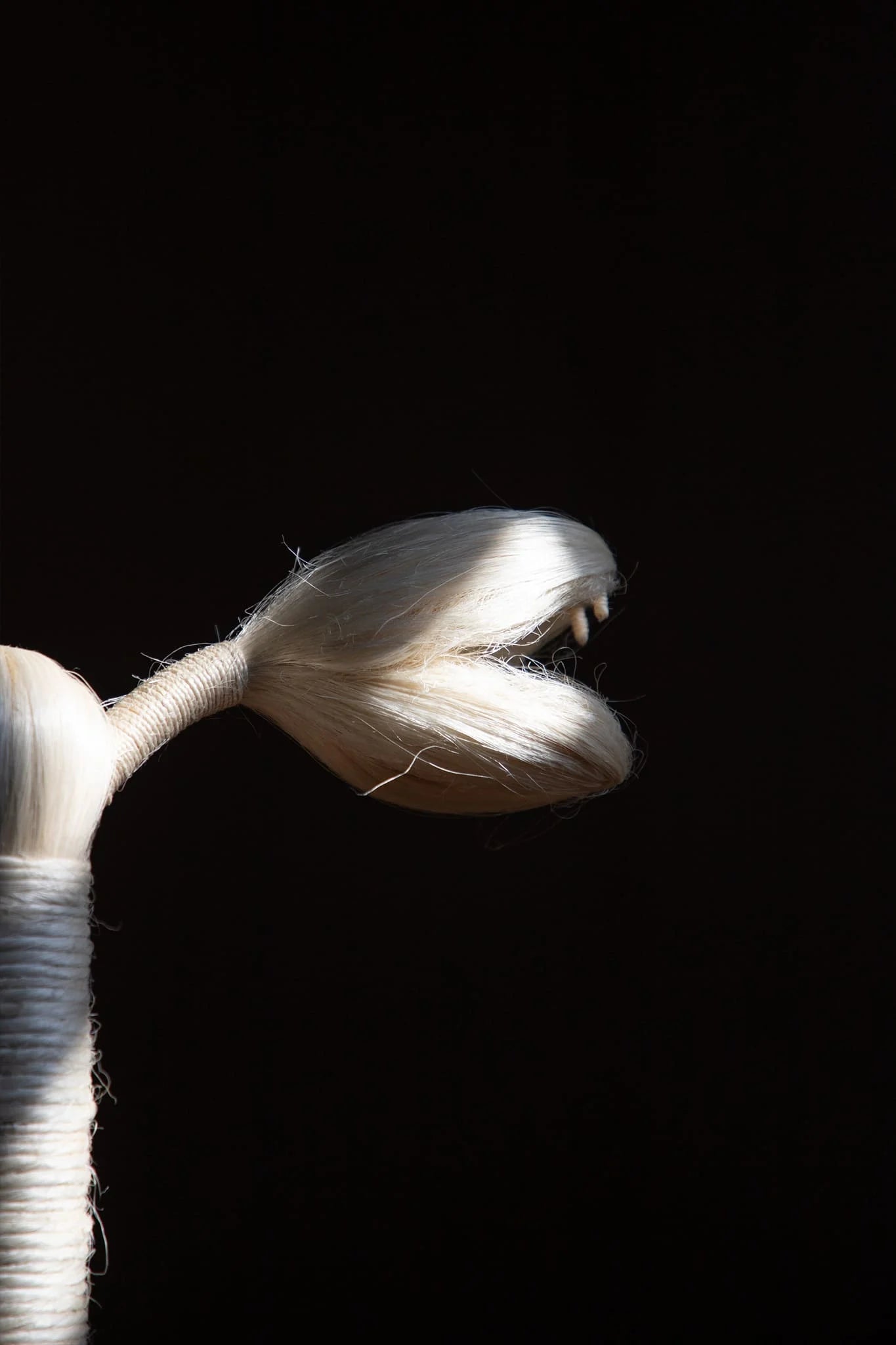 textile snake head for exclusive collection